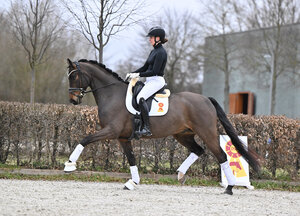 Dango Rubin v. Danone I – Goldberg  | © Hubert Fischer