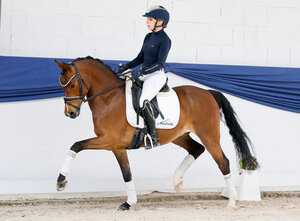 Preisspitze FS Chefsache | © Ponyforum GmbH (frei)