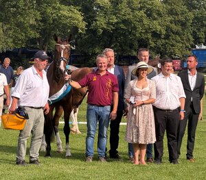 Siegerstute Dressur: Karamba