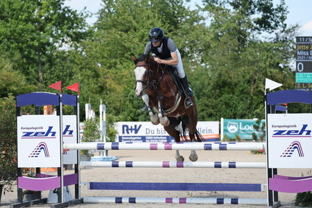 Miss Bubble HZ springt zum Titel bei den fünfjährigen Ponys. | © D. Matthaes