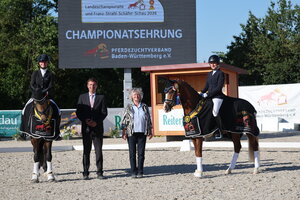 Die Champions der Reitponys | © D. Matthaes