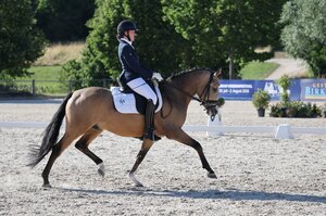 Laura Wese siegte sowohl bei den fünf- als auch sechsjährigen Dressurponys. | © D. Matthaes