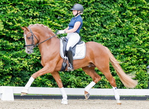 Preisspitze D-Deluxe AT | © Ponyforum