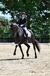 Birkhof's Fabulous Fenja FBW begeisterte unter dem Sattel ihrer Besitzerin Riana Frank. | © Dill