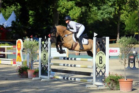Der kleine Prinz sprang bei den sechsjährigen Springponys zum Titel. | © Dill