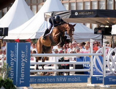 Katrin Eckermann gewann am Samstagabend in Goch mit dem Westfalen Forfly das Finale der sechsjährigen Springpferde. | © Hartwig