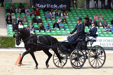Bundeschampion der vier- und fünfjährige Schweren Warmblüter 2025, Landbeschäler Tito de Saxe, gefahren von Lars Krüger | © Brit Placzek (frei)