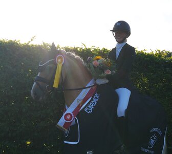 Westfalen-Champion der sechsjährigen Dressurponys Another Star | © Westfalenpferde (frei)
