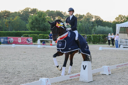 Westfalen-Champion der sechsjährigen Dressurpferde Fiete NRW v. Fashion in Black NRW | © LL-Foto (frei)
