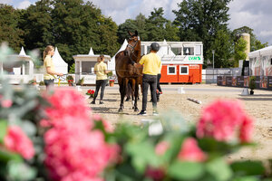 © Hannoveraner Verband