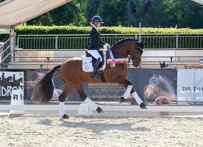 Der Zanetti-Sohn Zacolar mit Sina Aringer im Sattel sicherte sich am Sonntagabend bei den vierjährigen Reitpferdehengsten den letzten Championats-Titel der Westfalenwoche.  | © Hartwig