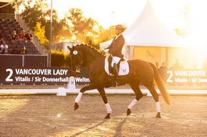 Hann.Pr.St. Vancouver Lady v. Vitalis/Sir Donnerhall erzielte den Spitzenpreis von 300.000 Euro bei der Verdener Championats-Auktion. | © Hannoveraner Verband (frei)