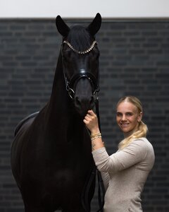 Hannu Haakon und seine neue Reiterin Mette Sejbjerg. | © Helgstrand Dressage