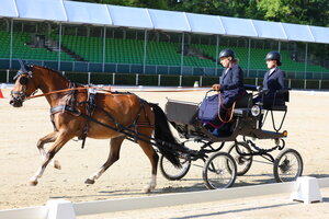In Top-Form: Ninnolo und Bettina Winkler | © Brit Placzek