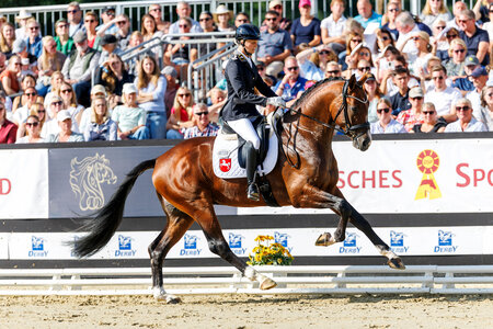 Im vergangenen Jahr galoppierten Janina Tietze und Benjamin Franklin zum Vizetitel bei den vierjährigen Hengsten. In diesem Jahr führen sie die Finalqualifikation der fünfjährigen Dressurpferde an. | © Lafrentz