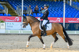 Im vergangenen Jahr war Champagner zum Frühstück unter dem Sattel von Lynn Sophie Soddemann bereits ins Finale der sechsjährigen Dressurponys getrabt. In diesem Jahr führen sie bei den Bundeschampionaten die Finalqualifikation der sechsjährigen Dressurponys an. | © Equitaris