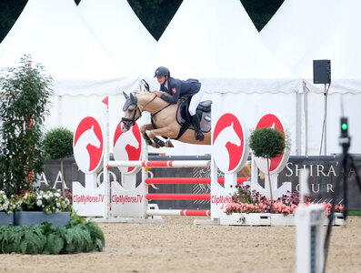 Sieger Top Cupido unter Marie Schlienkamp | © Hartwig