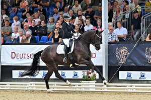 Pommery Look OLD siegt in der Finalqualifikation der vierjährigen Stuten und Wallache. | © Beelitz