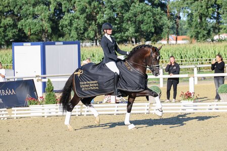 Sieger Be my Guest aus Baden-Württemberg in niederländischem Besitz | © LL-Foto