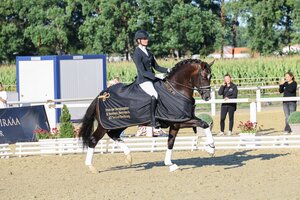 Sieger Be my Guest aus Baden-Württemberg in niederländischem Besitz | © Beelitz
