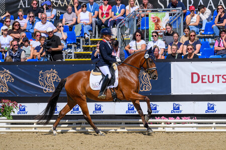 Die neue Bundeschampionesse Samba Royal K WE unter Wenke Kraus | © Equitaris