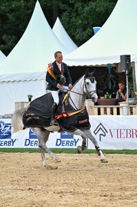 Alexander Schill und Clarimero siegen im Bundeschampionat der siebenjährigen Springpferde. | © Kiki Beelitz