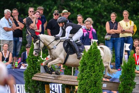 Die neue Bundeschampionesse Delia | © Equitaris