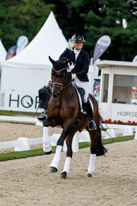 Beatrice Arturi mit dem Hengst Sir Gribaldi | © Lafrentz