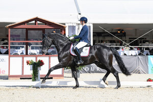 Lord Charmeur unter dem Sattel von Stefanie Ahlert. | © Equitaris