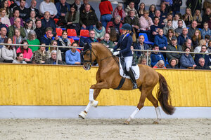 Blue Hors Viva Vegas unter Nanna Skodborg Merrald | © Equitaris