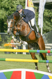 Balou du Rouet lebt nicht mehr. | © Beeck